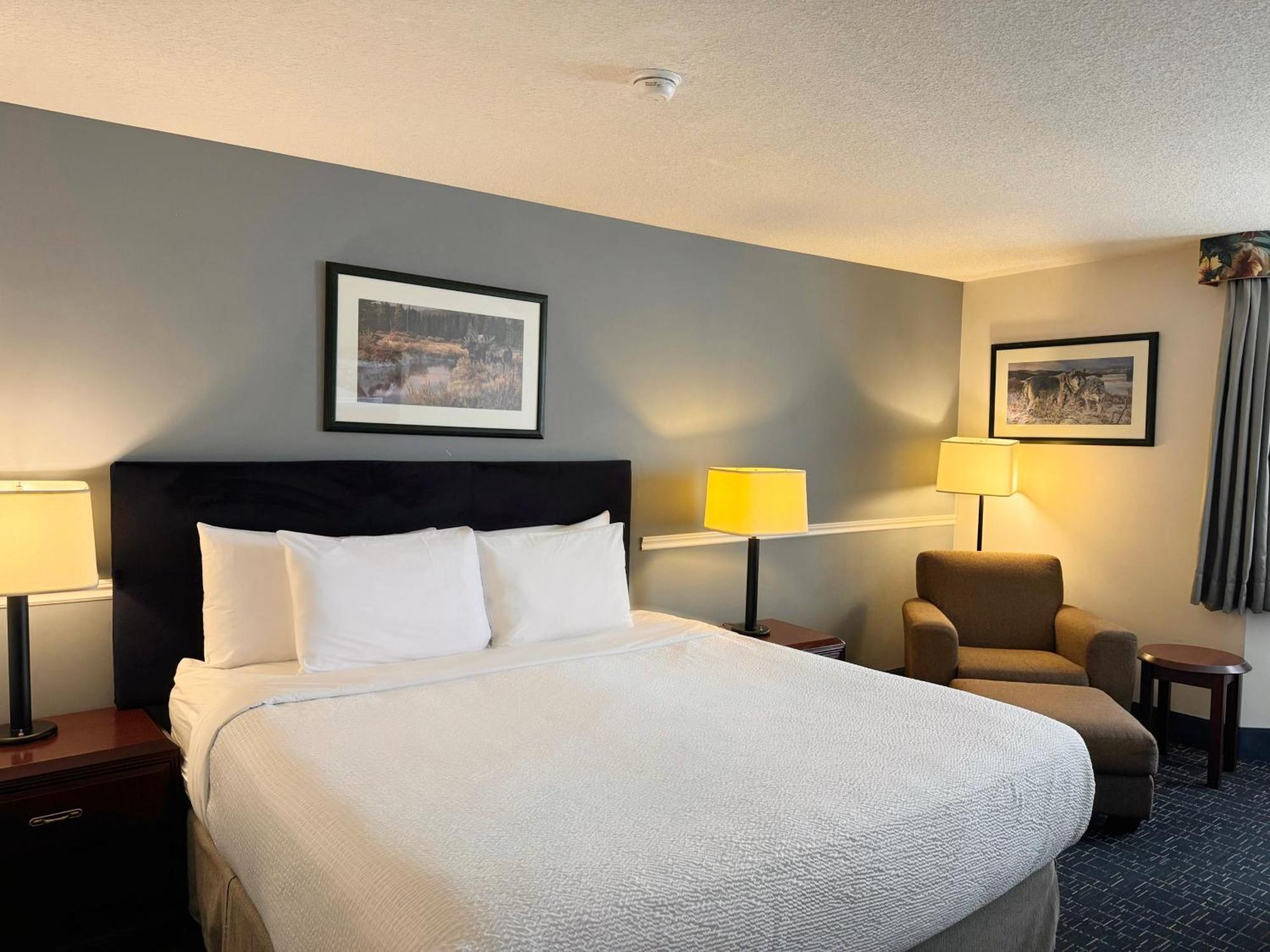 فندق Divya Sutra Plaza And Conference Centre Calgary Airport المظهر الخارجي الصورة