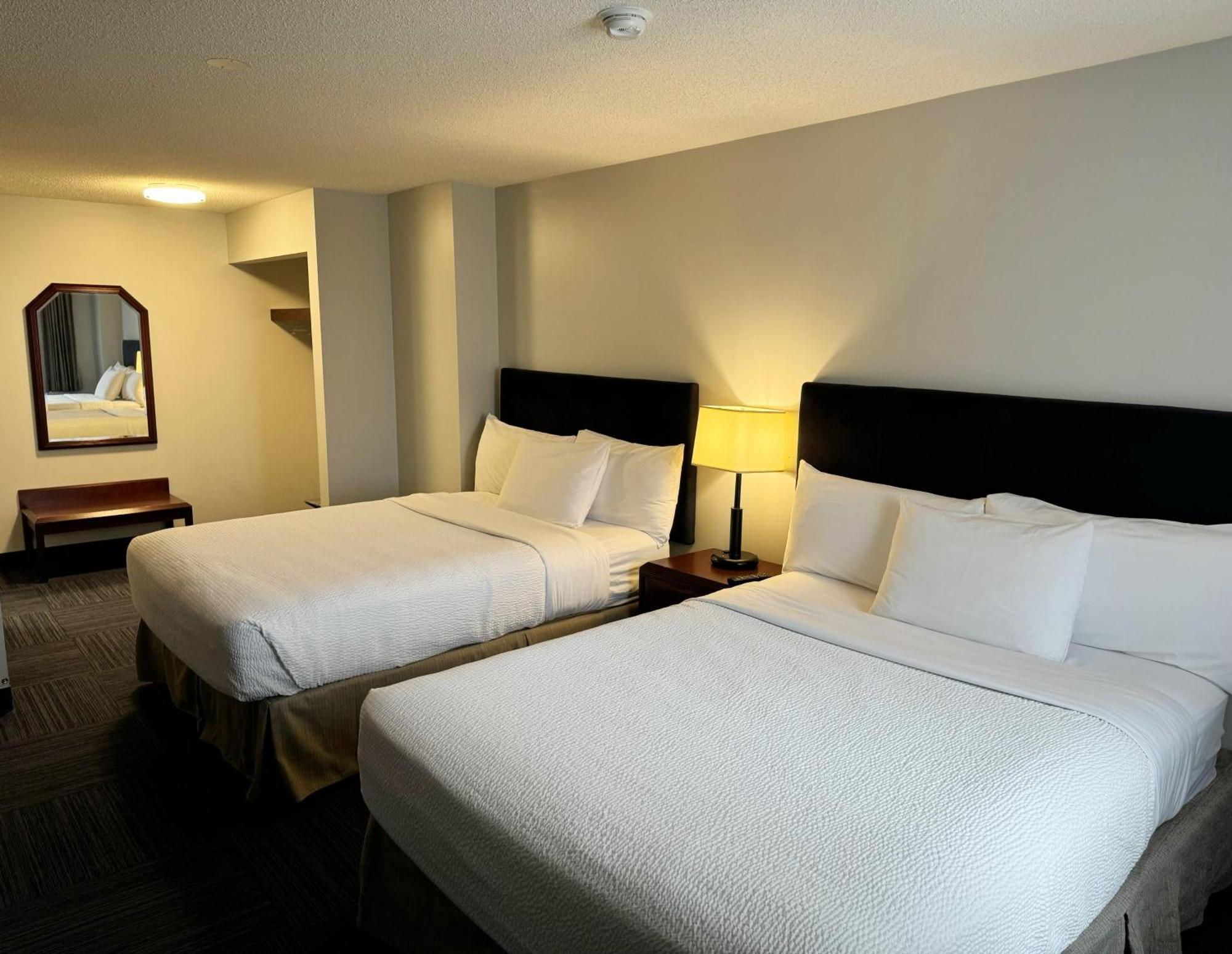 فندق Divya Sutra Plaza And Conference Centre Calgary Airport المظهر الخارجي الصورة